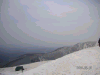 s_pict0103_thumb.png